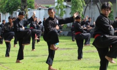 Ilustrasi pencak silat [imsport.tv]