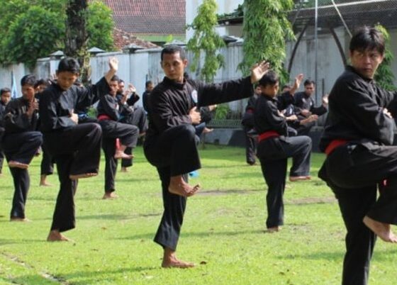 Ilustrasi pencak silat [imsport.tv]