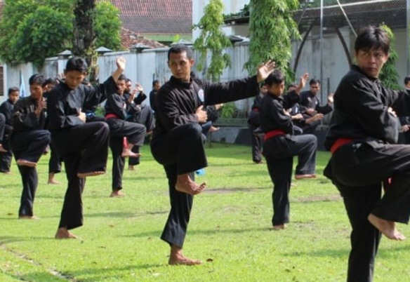 Ilustrasi pencak silat [imsport.tv]